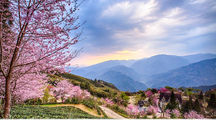新竹山上人家都鐸式建築