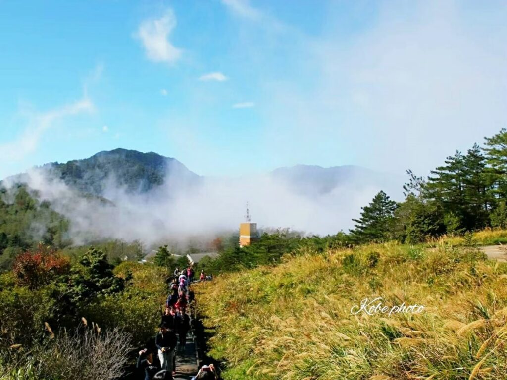 雪霸國家公園觀霧遊憩區