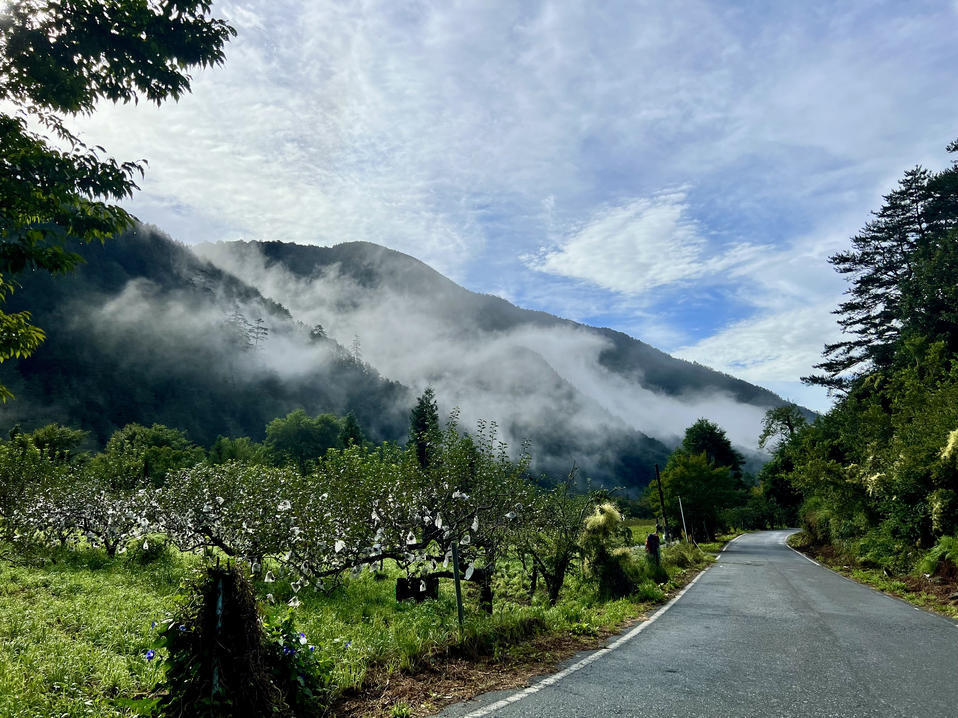 武陵農場早晨晨曦