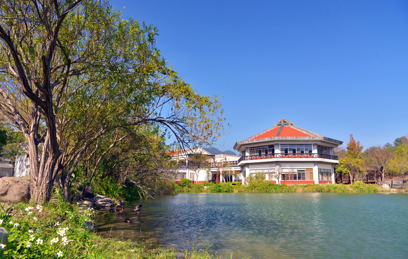 汶水遊客中心生態湖