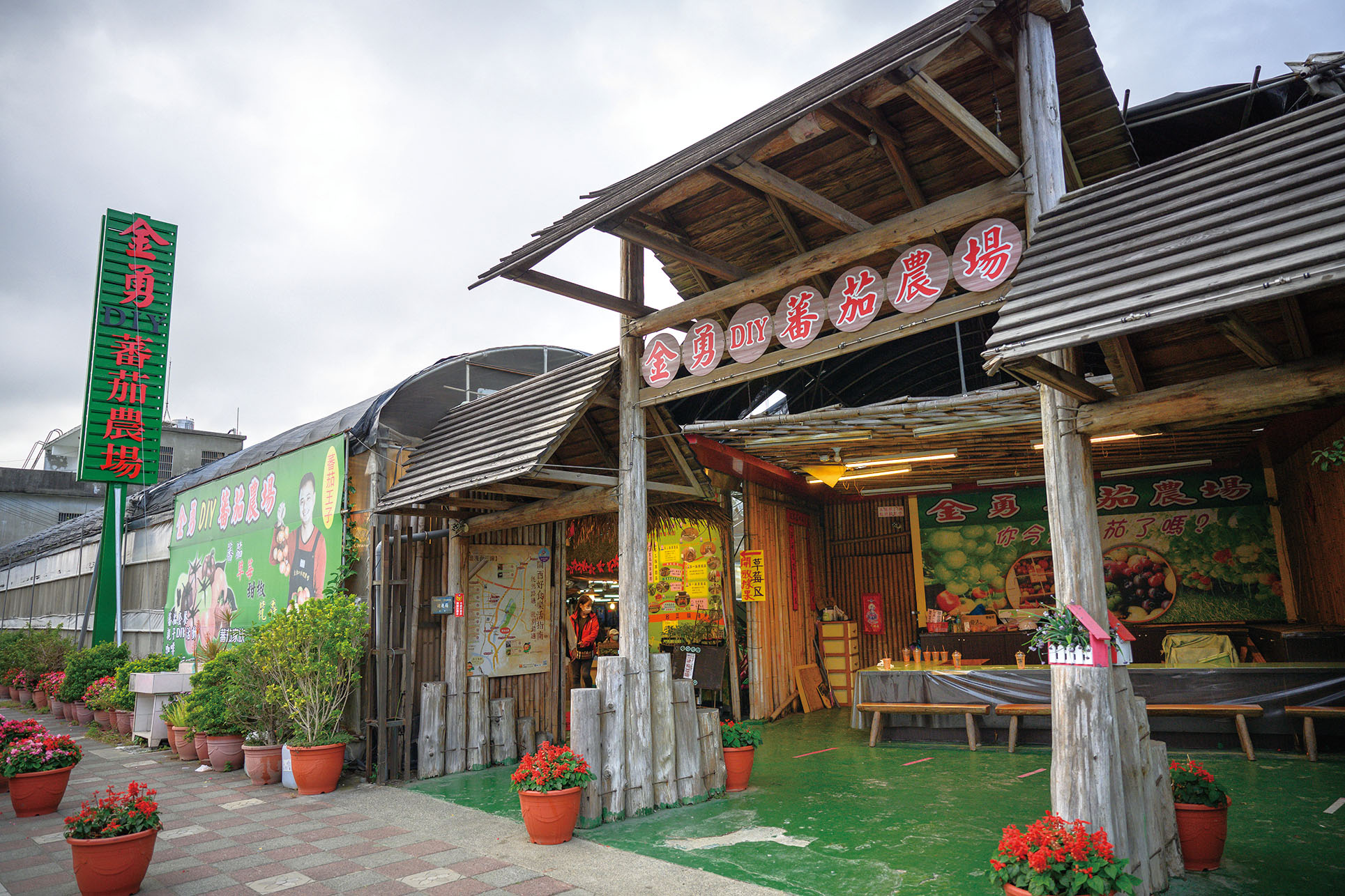 金勇DIY番茄農場