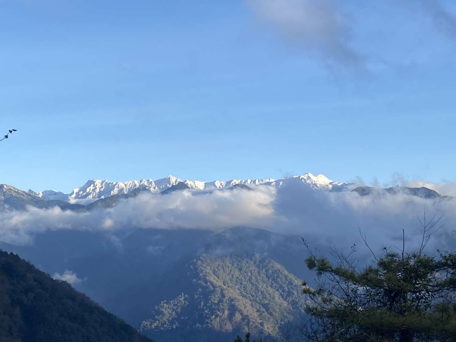 雪霸國家公園觀霧遊憩區雲海