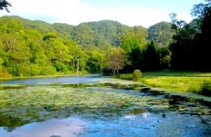 宜蘭福山植物園
