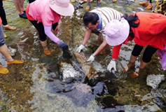 潮間帶踏浪浮潛